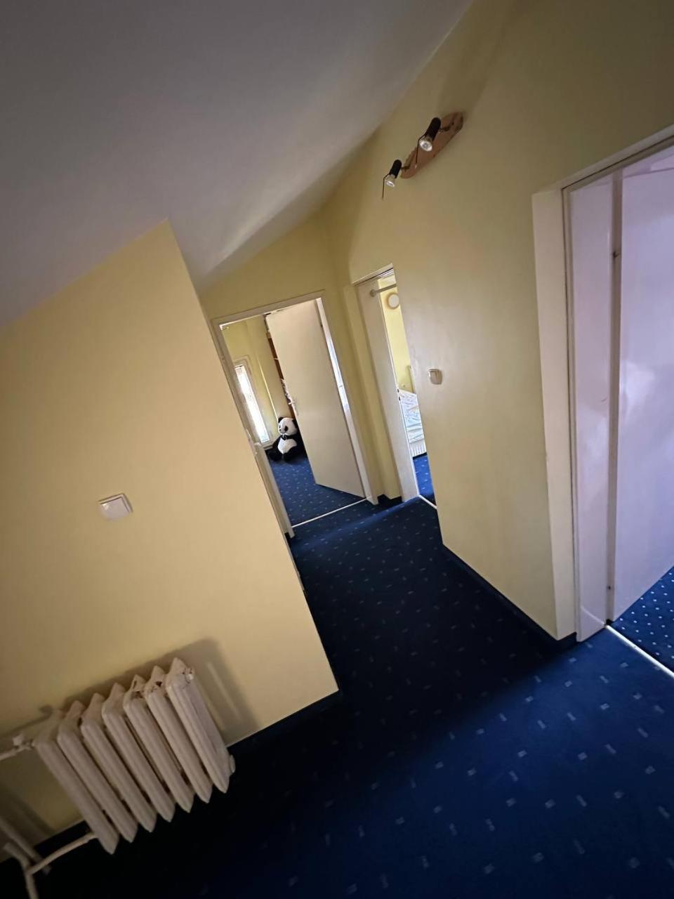 Apartament Cosy, Quiet House With Vitosha View Near Paradise
