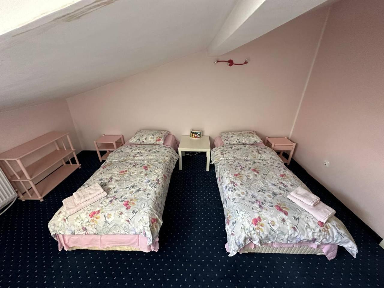 Cosy, Quiet House With Vitosha View Near Paradise *