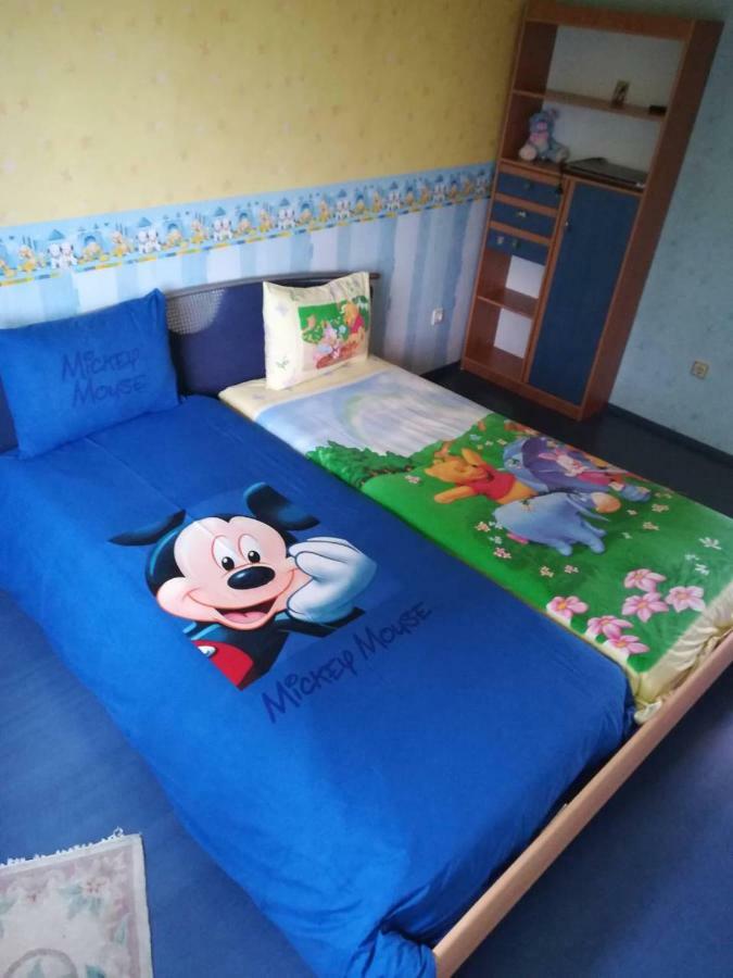 Cosy, Quiet House With Vitosha View Near Paradise